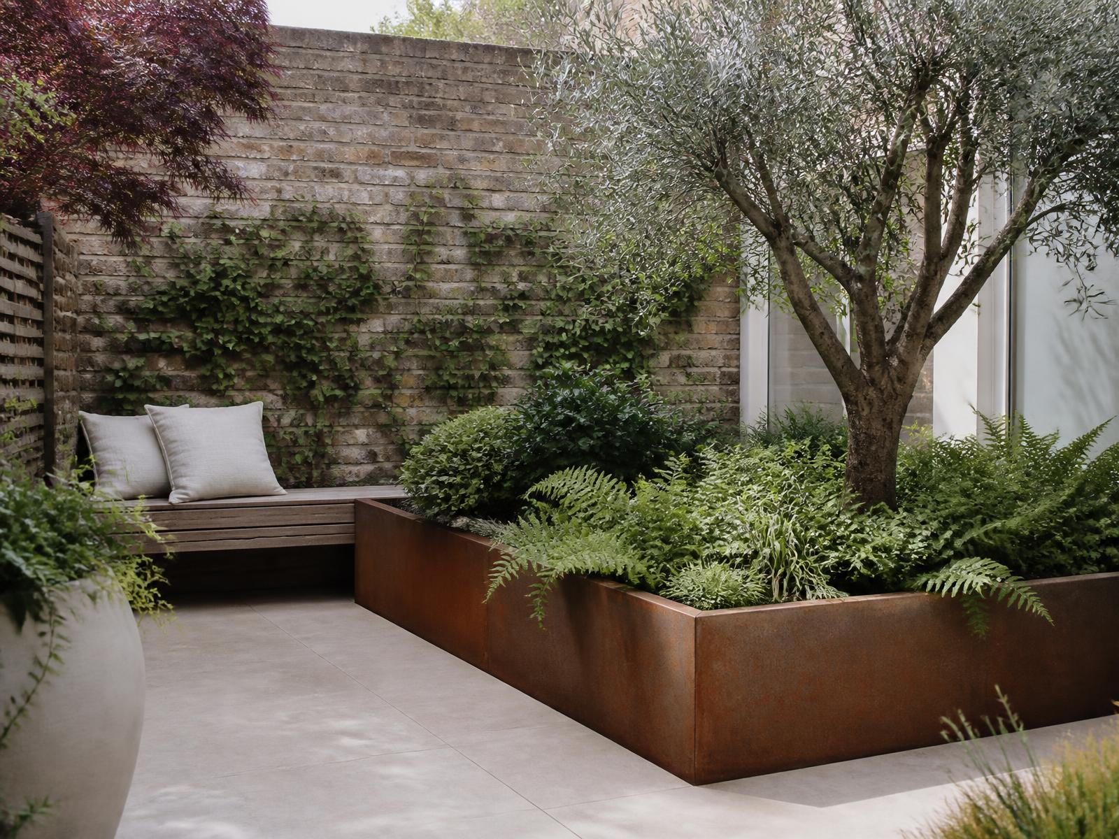 Walled courtyard garden concept with corten planters and olive tree