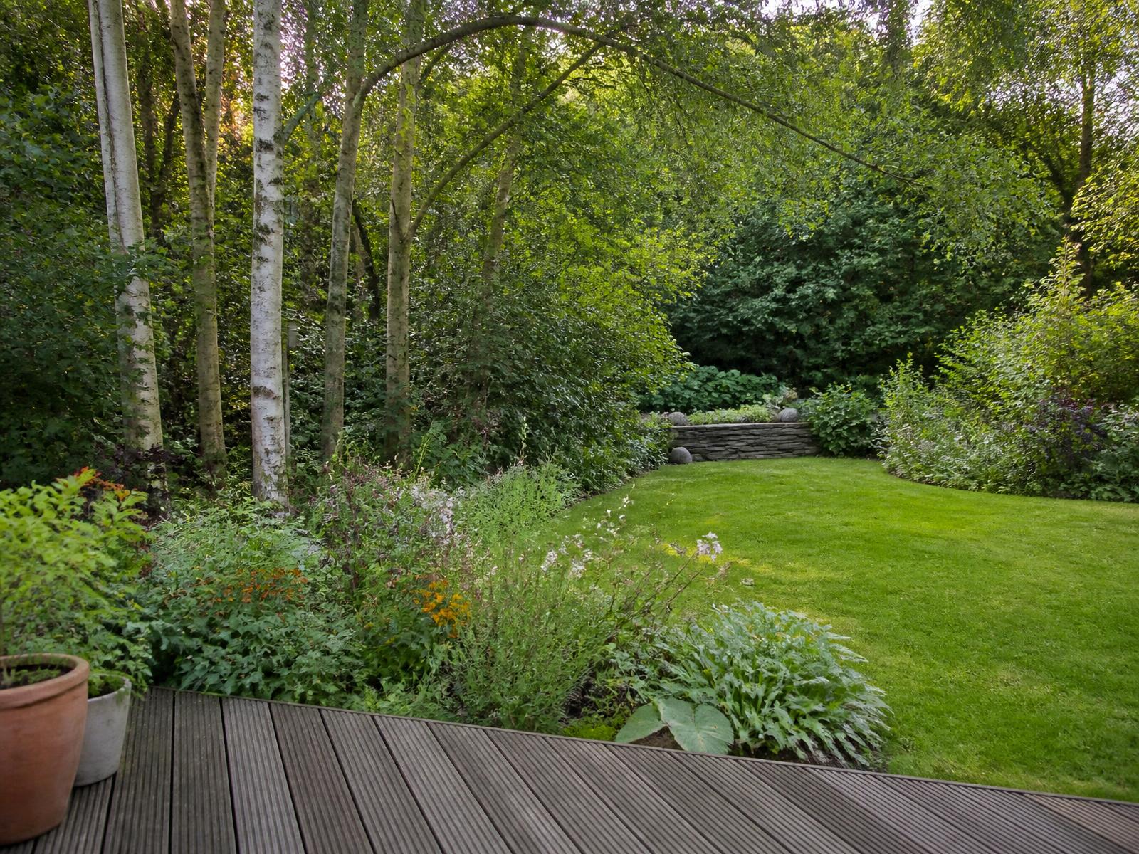 Naturalistic family garden concept beside woodland with timber deck